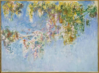 Wisteria (glicyny) ok. 1919-20